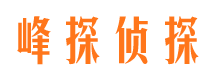 额济纳旗市调查公司